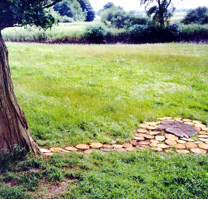 Schattenspiel - Klaus Peters Kunst - Landart - Baumscheiben